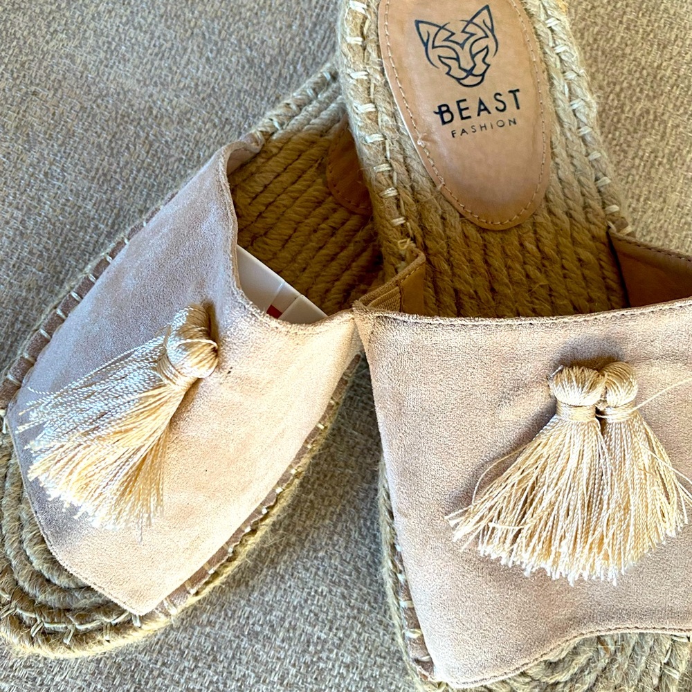 Beast Slides 9